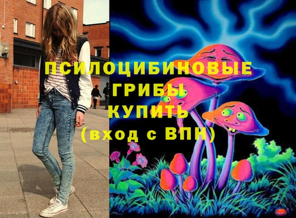 ГАЛЛЮЦИНОГЕННЫЕ ГРИБЫ Надым