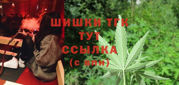 ГАЛЛЮЦИНОГЕННЫЕ ГРИБЫ Надым