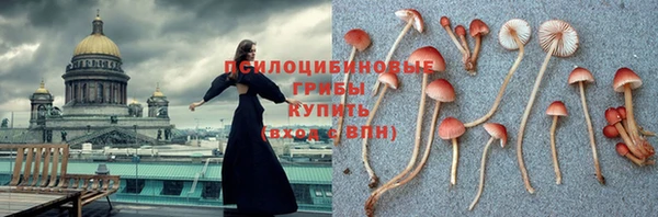тгк Михайлов